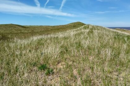 ns.-government-reviewing-cabot-golf-proposal-for-west-mabou-beach-provincial-park