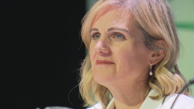 ‘momentum’-building-to-turn-around-pei.’s-fragile-health-care-system,-ceo-says-at-agm