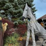 this-horse-that-poops-halloween-candy-needs-a-name