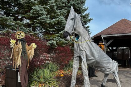 this-horse-that-poops-halloween-candy-needs-a-name