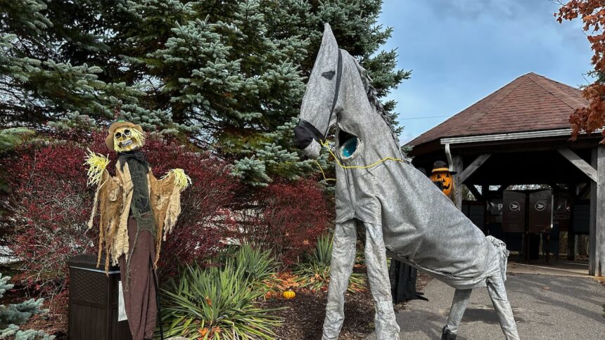 this-horse-that-poops-halloween-candy-needs-a-name