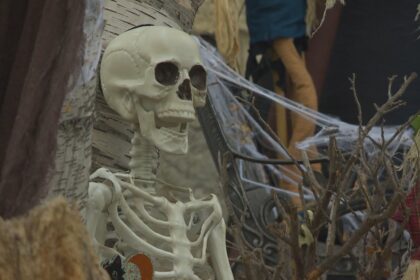 how-halloween-became-not-just-the-spooky,-but-spendy,-season