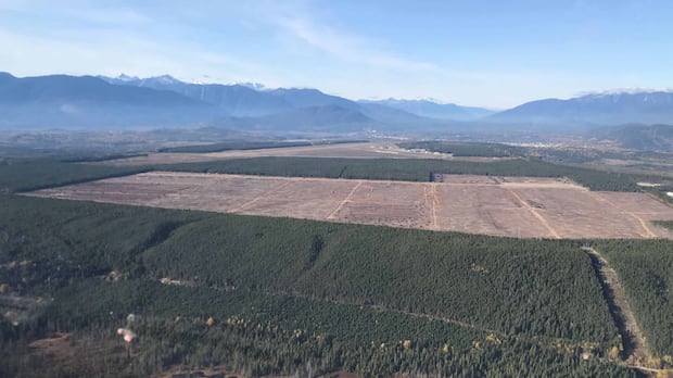 northern-bc-city-wins-$6.18-million-fight-against-developer
