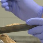 pei.-researchers-turn-sawdust-into-a-solution-for-dirty-water