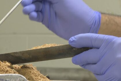pei.-researchers-turn-sawdust-into-a-solution-for-dirty-water