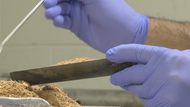 pei.-researchers-turn-sawdust-into-a-solution-for-dirty-water