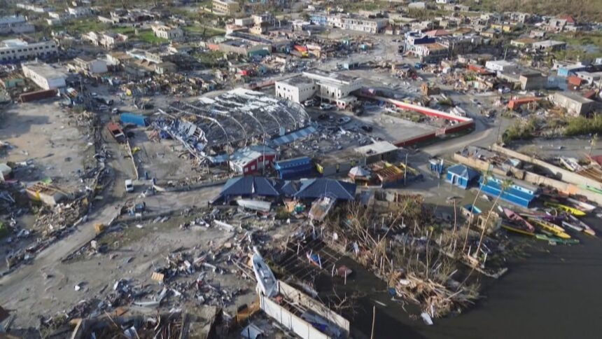 grocery-store-helps-raise-funds-for-jamaica-after-hurricane-melissa