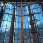 nisgaa-totem-pole-returns-home-after-nearly-a-century