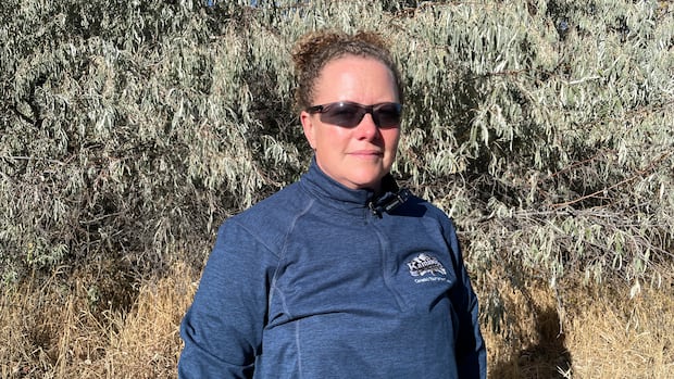kamloops-working-to-remove-invasive-russian-olive-trees-but-it-could-take-decades