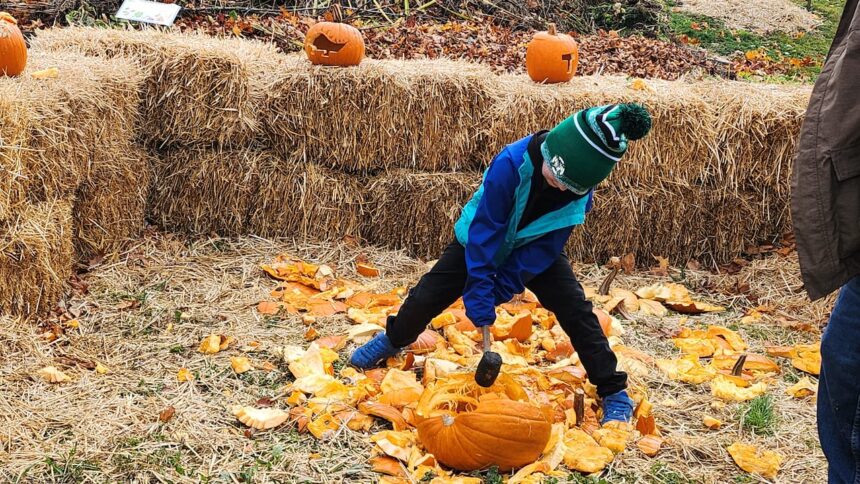 pumpkins-were-smashed-and-apples-pressed-at-annual-post-halloween-hootenanny