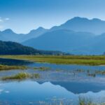 metro-vancouver-opens-widgeon-marsh-regional-park-33-years-after-acquiring-land