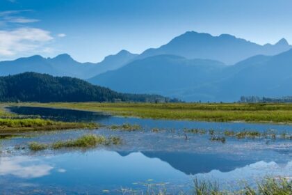 metro-vancouver-opens-widgeon-marsh-regional-park-33-years-after-acquiring-land