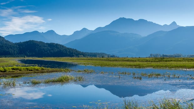 metro-vancouver-opens-widgeon-marsh-regional-park-33-years-after-acquiring-land