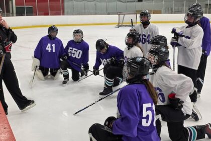 ice-time-is-expensive-and-in-demand.-so-why-do-arenas-sometimes-sit-empty?