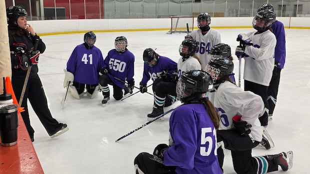 ice-time-is-expensive-and-in-demand.-so-why-do-arenas-sometimes-sit-empty?
