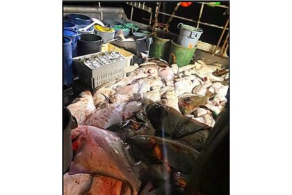 cape-breton-judge-fines-man-$76,000-for-illegally-fishing-halibut