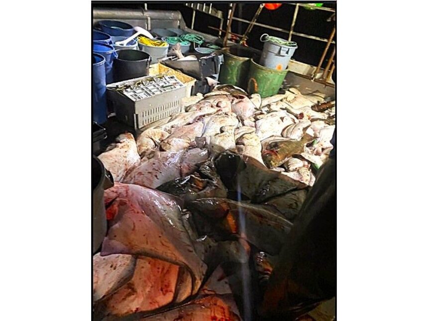 cape-breton-judge-fines-man-$76,000-for-illegally-fishing-halibut