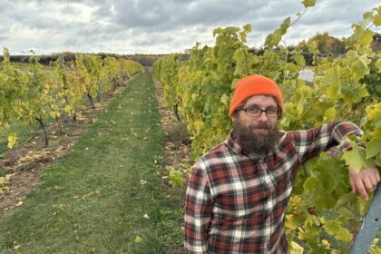 more-research-into-hybrid-grape-varieties-in-kentville-important-for-nova-scotia-industry