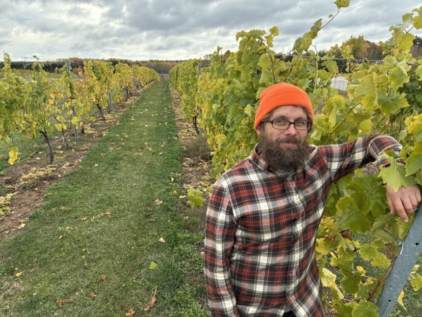 more-research-into-hybrid-grape-varieties-in-kentville-important-for-nova-scotia-industry