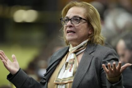 ottawa-seeking-mass-visa-cancellation-powers-to-deter-fraud-from-india:-internal-documents