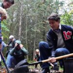 liberals-scrapping-2-billion-trees-target-as-part-of-budget:-sources