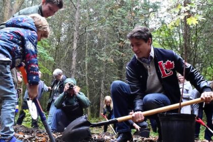 liberals-scrapping-2-billion-trees-target-as-part-of-budget:-sources