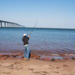 fish-fight:-is-the-decline-of-atlantic-salmon-actually-the-fault-of-striped-bass?