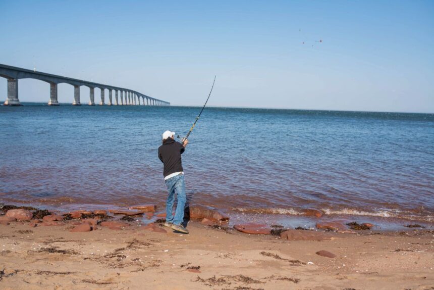 fish-fight:-is-the-decline-of-atlantic-salmon-actually-the-fault-of-striped-bass?