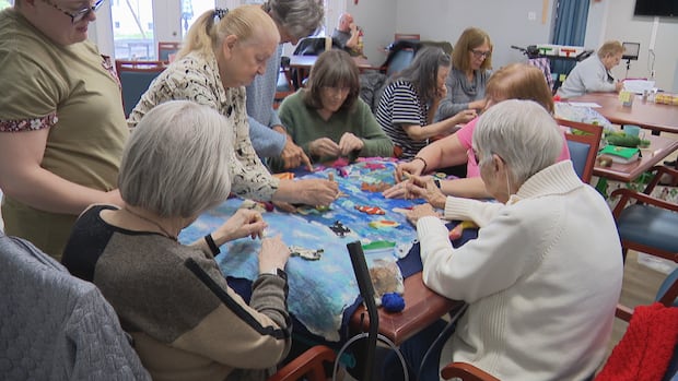 ‘i-find-it-quite-insulting’:-nova-scotia-seniors-fight-back-against-ageism