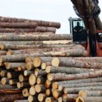 nb.-minister-backs-cap-on-softwood-to-secure-tariff-deal