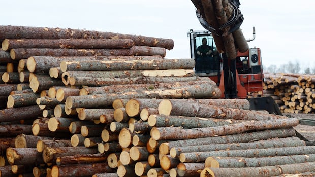 nb.-minister-backs-cap-on-softwood-to-secure-tariff-deal