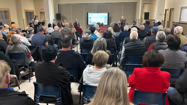 green-party-leader-pledges-to-table-new-bill-that-would-make-all-land-investigations-public