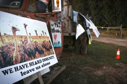 man-dies-at-bc.-ostrich-farm-protest-camp-in-non-suspicious-death,-police-say