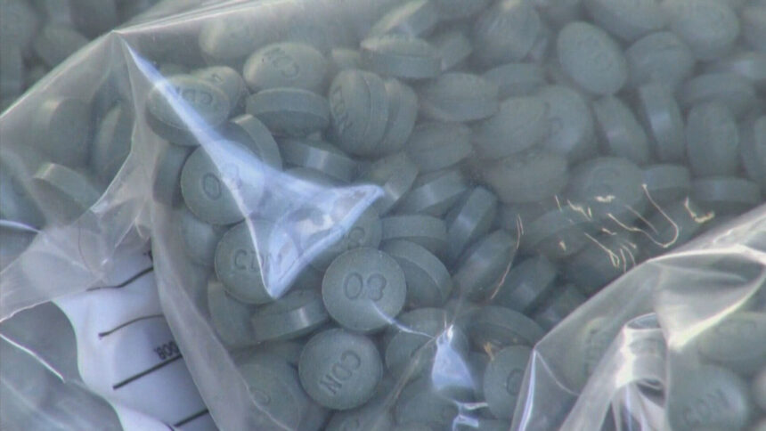 opioides-:-la-communaute-reclame-justice-apres-la-mort-dune-jeune-de-18-ans