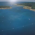 property-owner-explains-why-whale-sanctuary-is-raising-concerns