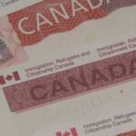 government-dialling-back-number-of-temporary-residents-it-allows-into-canada
