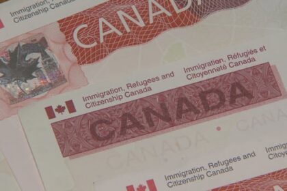 government-dialling-back-number-of-temporary-residents-it-allows-into-canada