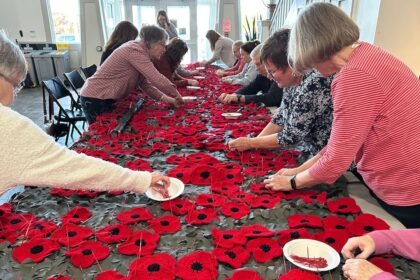 pei.-volunteers-knit-and-crochet-14,000-poppies-as-‘work-of-love’-for-remembrance-day