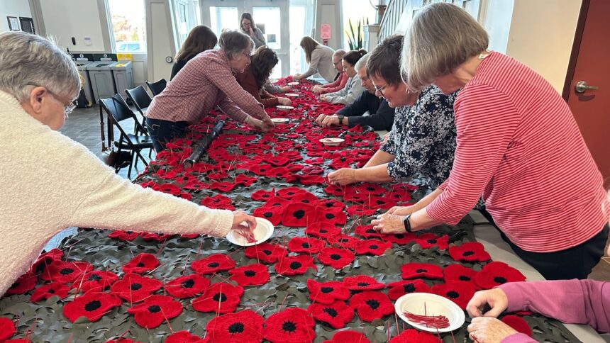 pei.-volunteers-knit-and-crochet-14,000-poppies-as-‘work-of-love’-for-remembrance-day