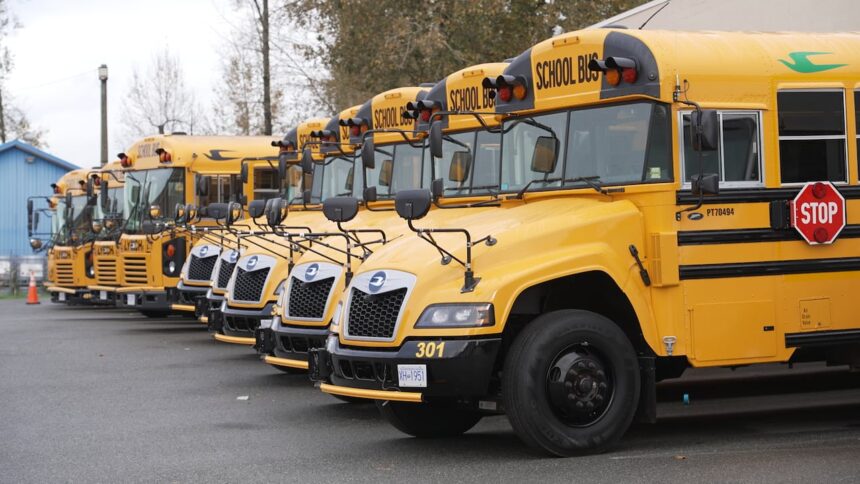 turning-buses-into-batteries-is-the-future-of-energy.-heres-why