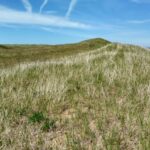 tourism-industry-says-parks-and-protected-areas-should-be-off-limits-for-development