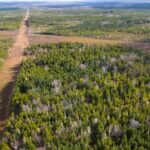 conservationists-question-nb.-power-decision-not-to-build-$1b-gas-plant-at-industrial-park