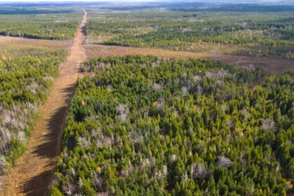 conservationists-question-nb.-power-decision-not-to-build-$1b-gas-plant-at-industrial-park