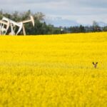 biofuel-initiative-announced-in-federal-budget-‘an-expanded-opportunity,’-says-sask.-farmer