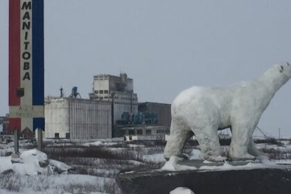 premier,-winnipeg-mayor-hope-promises-in-federal-budget-translate-to-boost-for-manitoba-economy