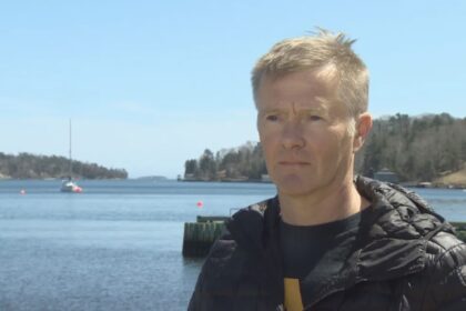 dalhousie-university-study-finds-microplastics-in-meat-from-lobsters-along-nova-scotia-shoreline