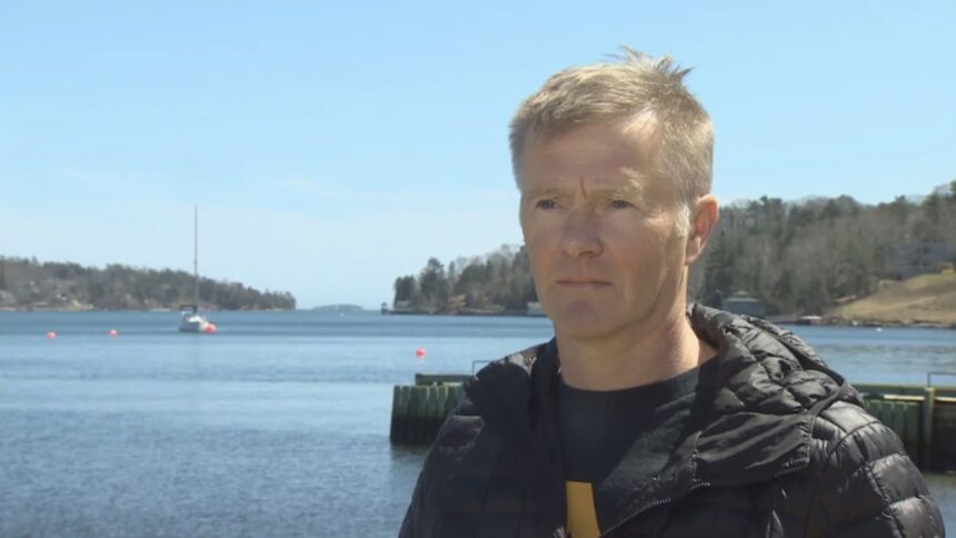 dalhousie-university-study-finds-microplastics-in-meat-from-lobsters-along-nova-scotia-shoreline