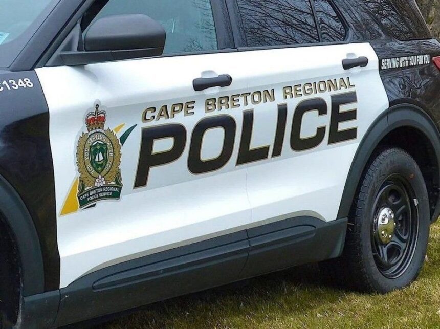 cape-breton-police-charge-man-with-importing-dried-poppy-pods