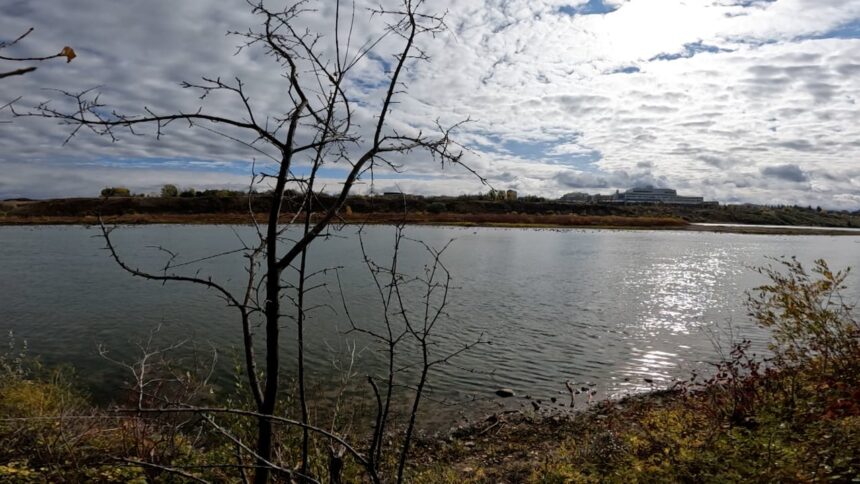 how-public-spaces-can-have-a-positive-effect-on-a-community