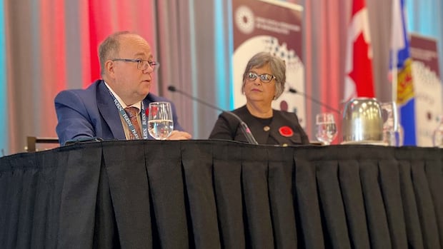 ns.-municipal-affairs-minister-promises-communication-on-natural-resource-projects